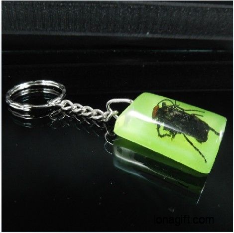 昆虫琥珀纪念钥匙扣
